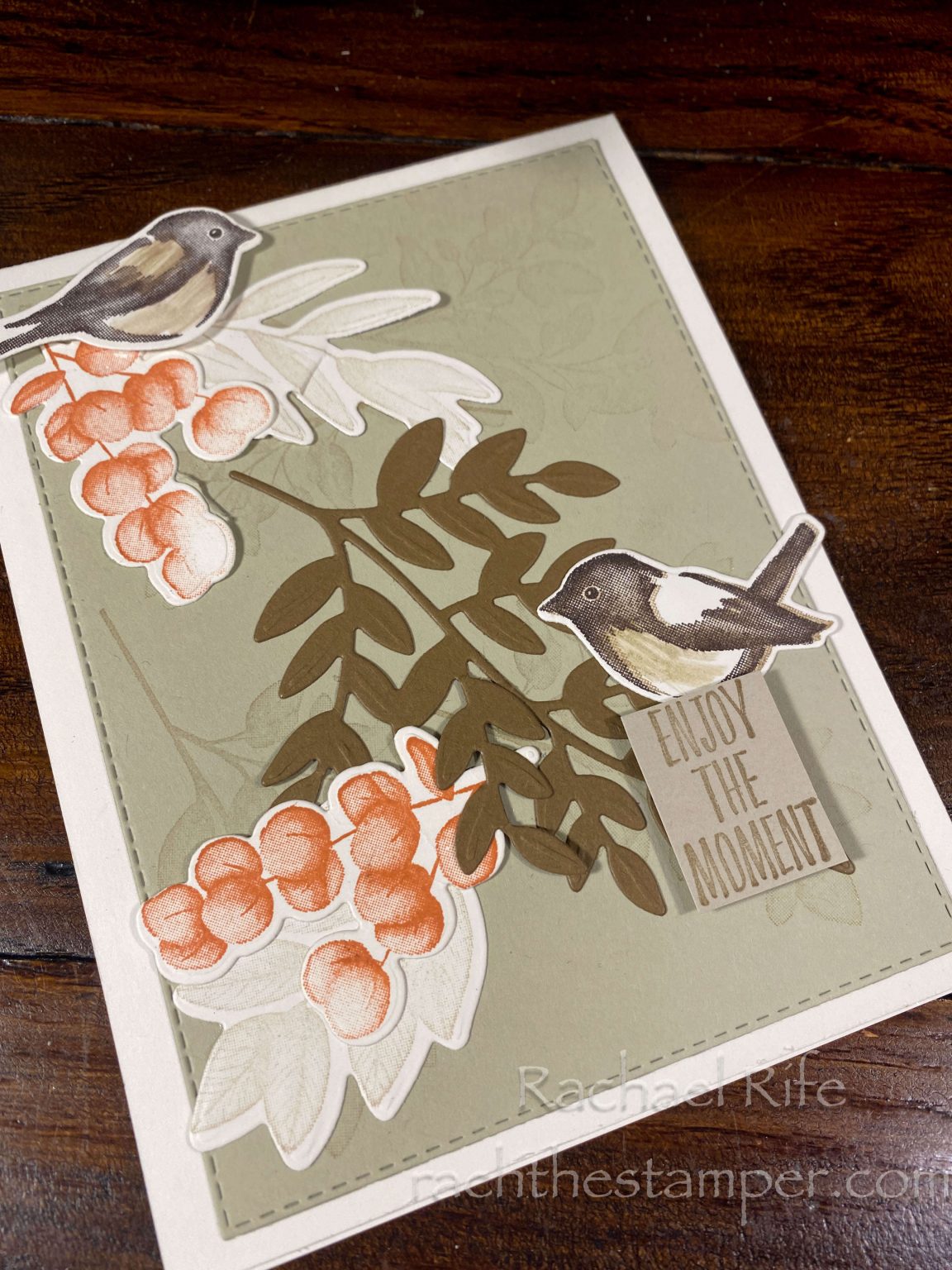 Birds & Branches Bundle CASE the Catalog PART II – RachTheStamper