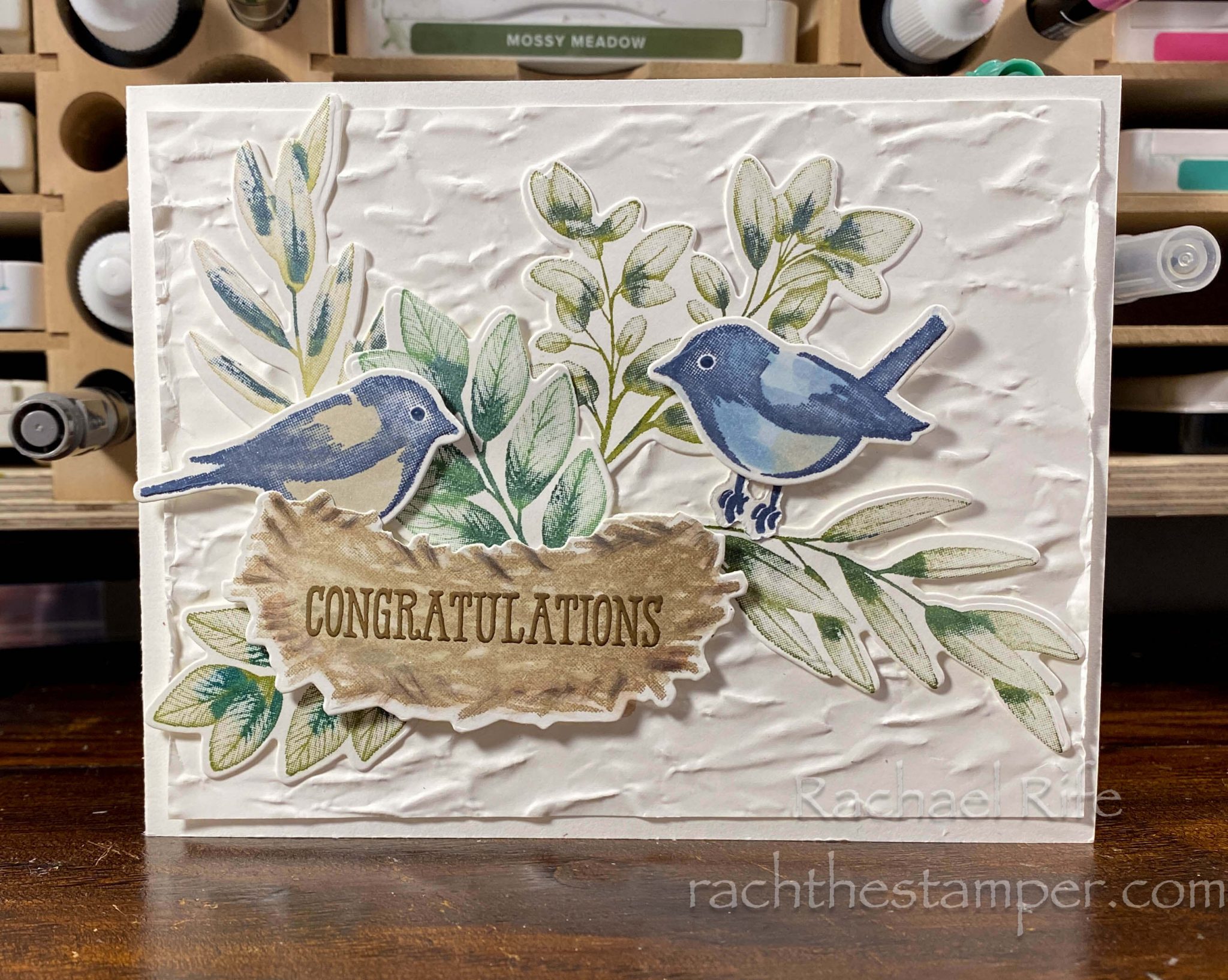 Birds & Branches Bundle CASE the Catalog PART II – RachTheStamper